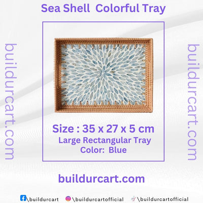 Rattan Woven Colorful Shell Tray