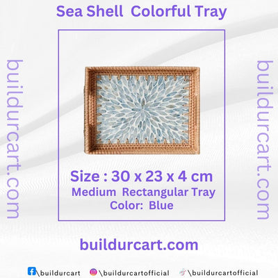 Rattan Woven Colorful Shell Tray