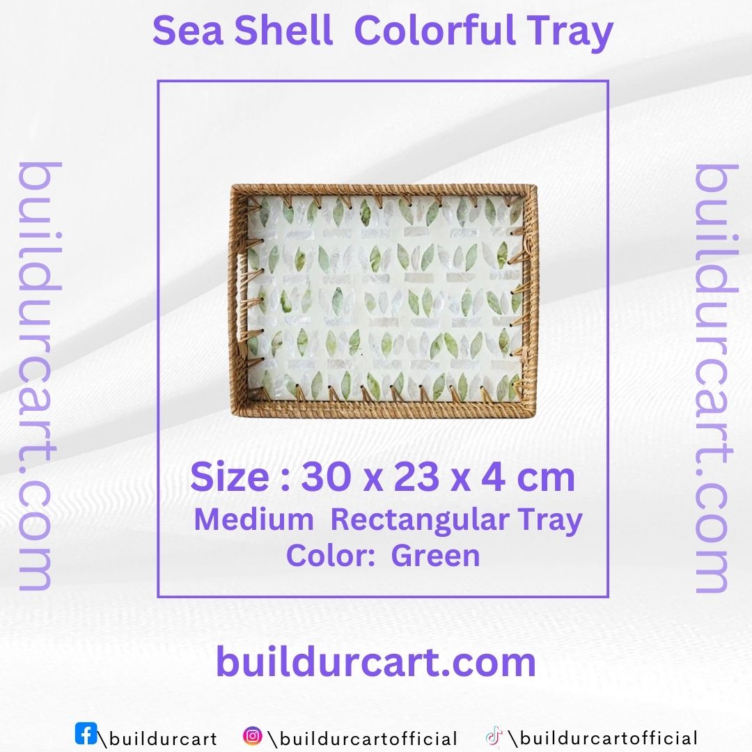 Rattan Woven Colorful Shell Tray