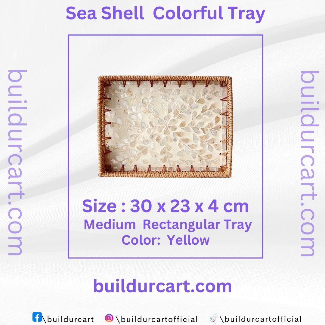 Rattan Woven Colorful Shell Tray