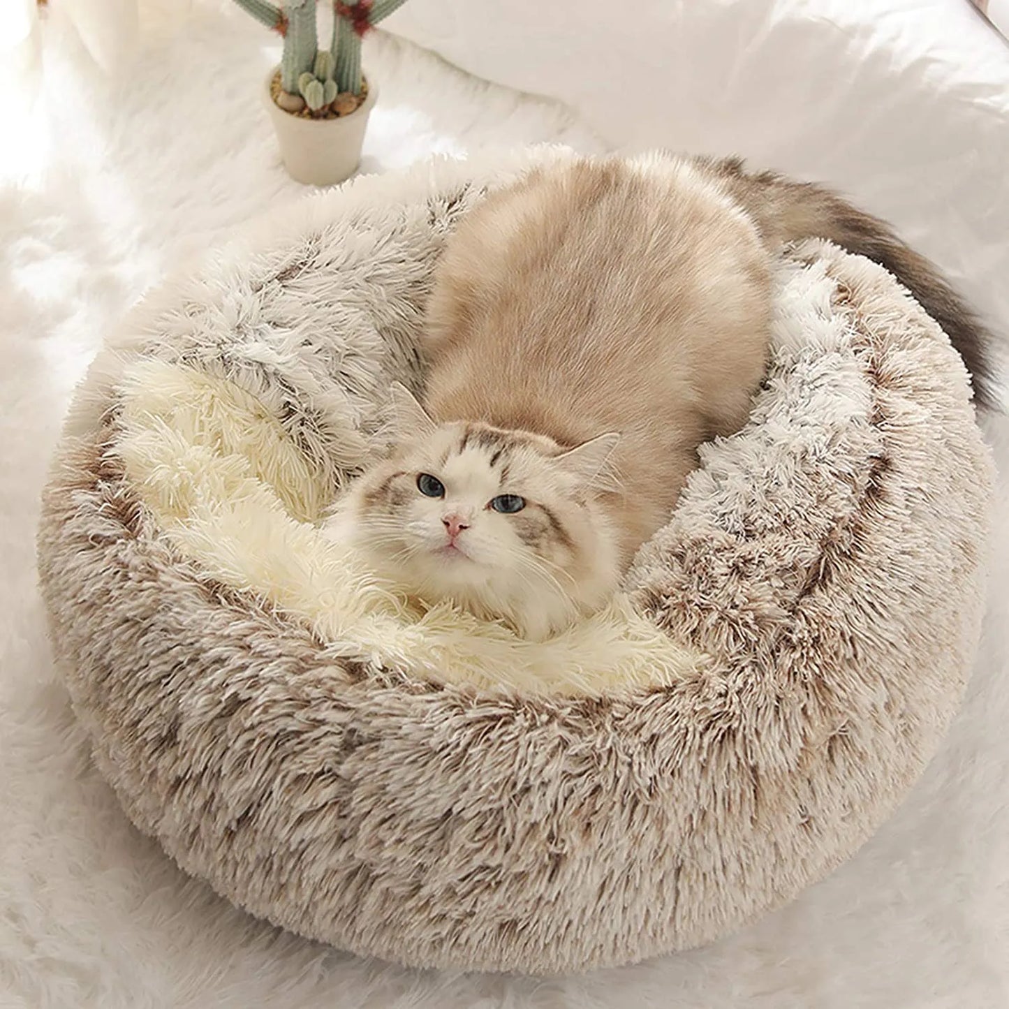 New Pet Dog Cat Round Plush Bed Semi-enclosed Cat Nest for Deep Sleep Comfort in Winter Cats Bed little Mat Basket Soft Kennel