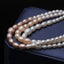 Choker Freshwater Pearl Necklace For Women,Wedding Real Natural Pearl Necklace Multi Color Pearl Three Rows Necklace Jewelry