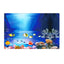 Background for Aquarium 3d  Sticker Poster Fish Tank  Aquarium Background accessories Decoration Ocean Plant Aquascape Painting