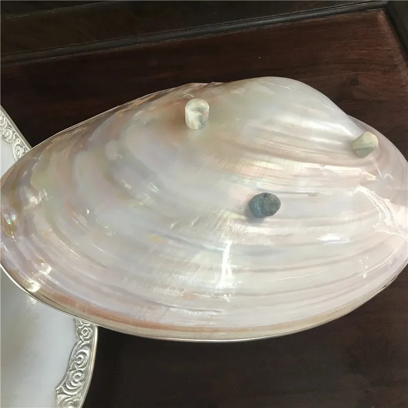 Sea Shell Pearl Plate