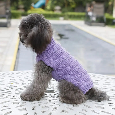 Cute Poodle Puppy Clothes XS Dog Cat Knitted Pet Sweater Vest Dachshund Sweatshirt  for Small Dogs Sweaters Turtleneck Fleece