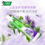 DARLIE Green Tea Toothpaste White Tea Toothpaste Jasmine Longjing Toothpaste Household 140g Remove Odor Freshen Breath Oral Care