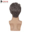 Short Mens Grey Wig Layered Natural Hair Mixed Grey Hair Heat Resistant Straight Synthetic Wigs With Bangs Cosplay Daily Use Wig