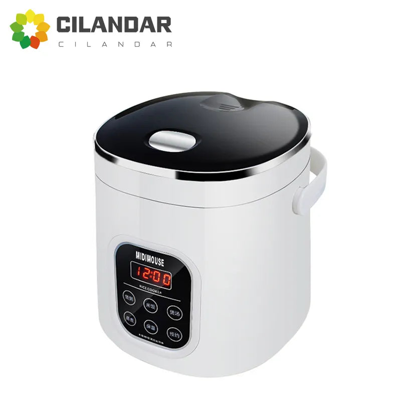 car mounted 2L vehicle electric cooker 12V+24V