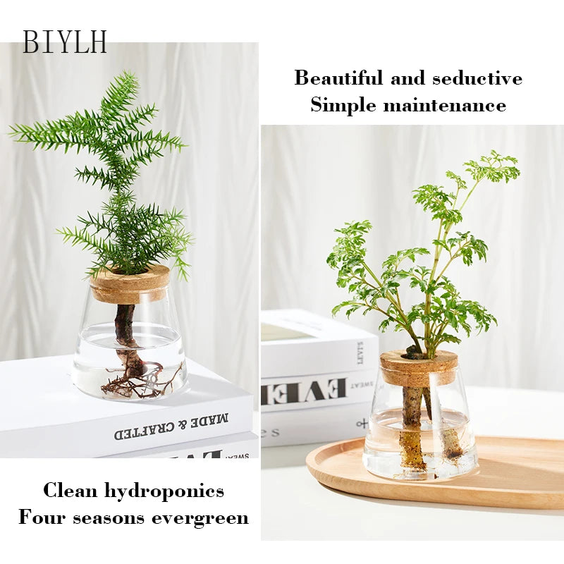 Home Decor Glass Vase Hydroponic Plant Volcano Small Vase Nordic Tabletop Simple Green Plant Mini Bottle With  Tray Flower Vases