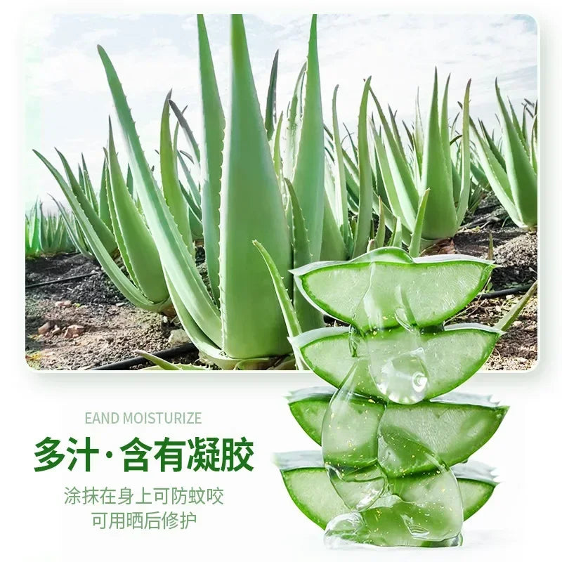 500g Large Bottle Moisturizing Aloe Gel Used All Over The Body Soften Skin Fade Acne Marks Repair Face Care Skin Care Products