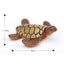 1pc Mini Sea Turtle Model Resin Ornaments Aquarium Fish Tank Home Landscape Decoration Accessories Fine Workmanship Layout Prop