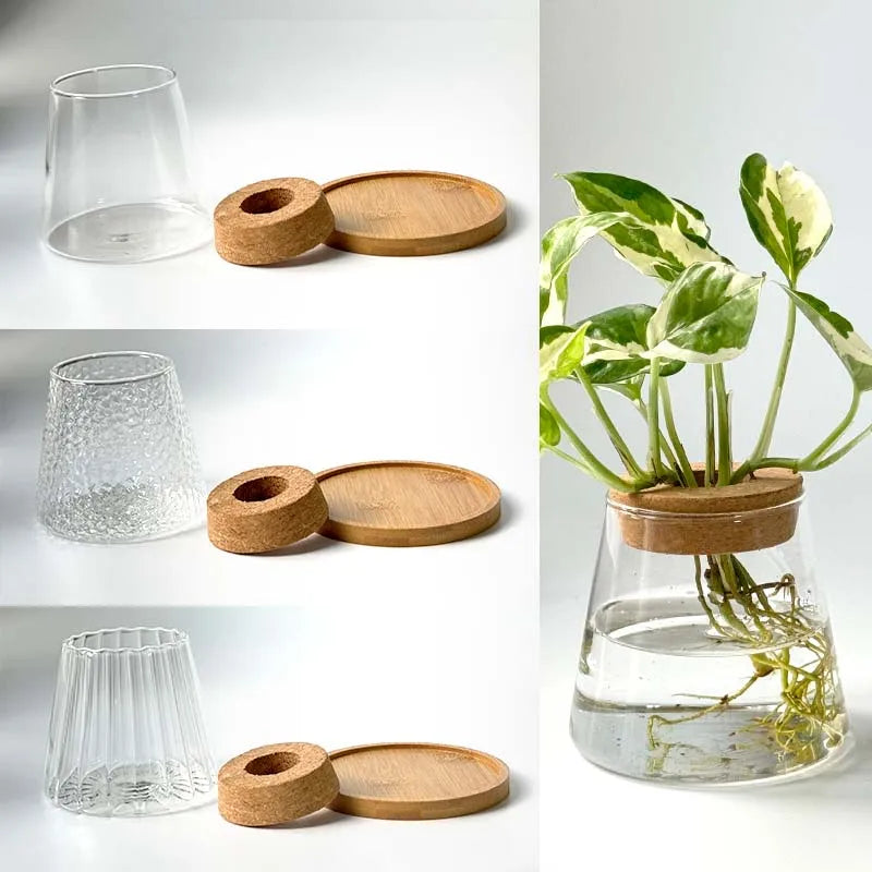 Home Decor Glass Vase Hydroponic Plant Volcano Small Vase Nordic Tabletop Simple Green Plant Mini Bottle With  Tray Flower Vases