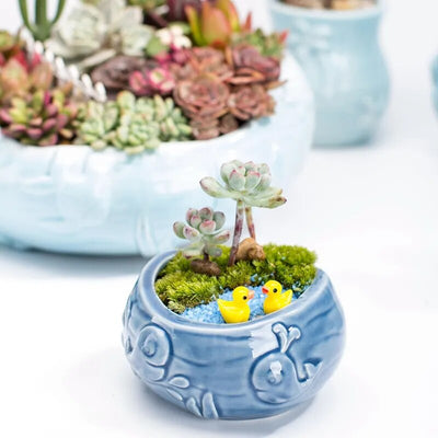 European Style Cute Fleshy Flowerpot Pocelain Blue Fish Flower Vase