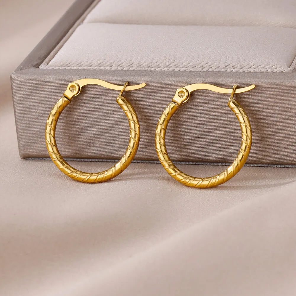 Round Stainless Steel Earrings for Women 2024 Trending Gold Plated Earrings Couple Piercing Ear Jewelry Christmas Gift aretes