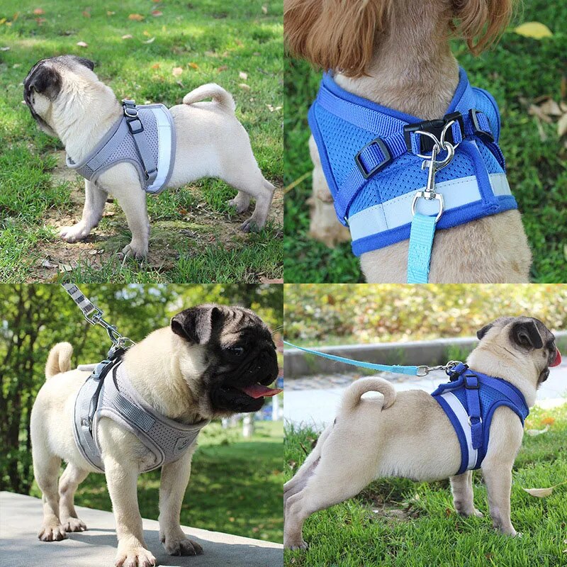 Reflective Safety Pet Dog Harness and Leash Set for Small Medium Dogs Cat Harnesses Vest Puppy Chest Strap Pug Chihuahua Bulldog