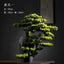 Zhaocai high-end welcome pine bonsai new Chinese home living room interior office porch simulation decoration